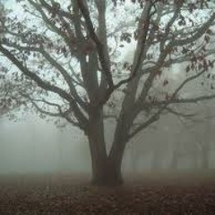 Terrible Calm - Just A Tale