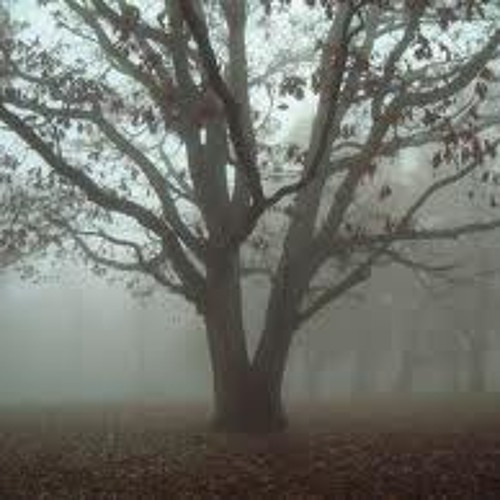 Terrible Calm - Just A Tale