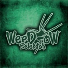 Rayvon Selekta DubPlate - Weedow