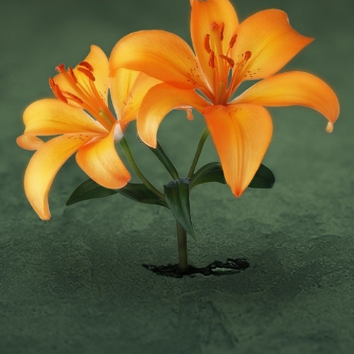 طارق ابوعبيدة - حاولت انساك