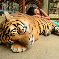 Reheab-Amy Winehouse( Tana version) Sound of original