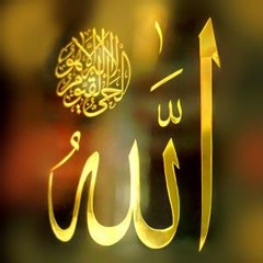 الدعوة الى الله - الشيخ محمد مختار الشنقيطي