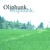 Artwork for Air - Snakadaktal (Cover, Louise Pow, Callum Voller, Darrin Mackenzie, Nick Oliphant)