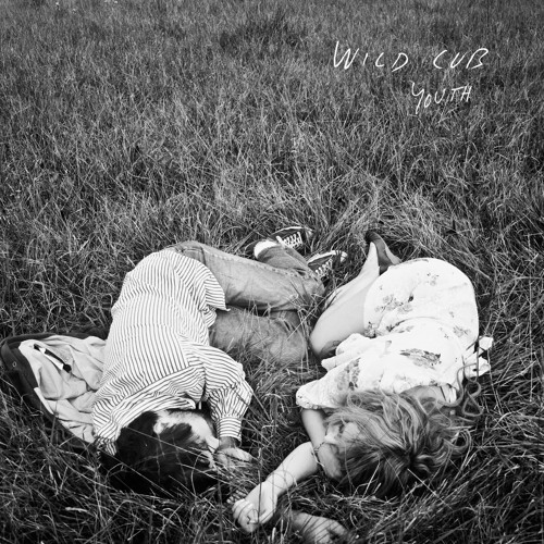 Wild Cub - Hidden In The Night
