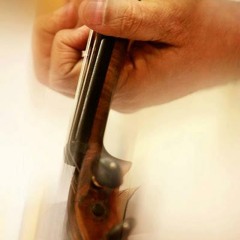 Violin - Flights of Fantasy - Ganesh & Kumaresh