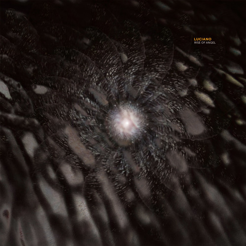 Luciano - Rise Of Angel (Andrea Oliva Remix) Matteo B REWORK