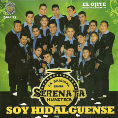 La Original Banda Serenata Huasteca - Soy Hidalguense