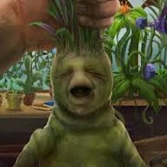 TrACk $outA [ZANONYM SOUND] "ChA$se à La MAndrAgOred"