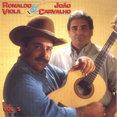 Ronaldo viola e joão carvalho - a viola e a saudade