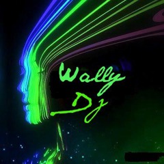 Trance Remix-2013 Wally Dj
