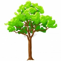 The Aviator acoustic featuring Hannah Stewart.