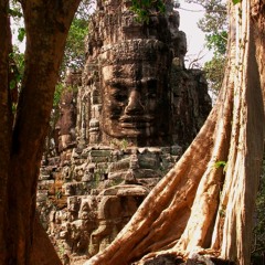 Yew Trees, Dave McKeown with Diederik de Jonge and Vlad Josephson
