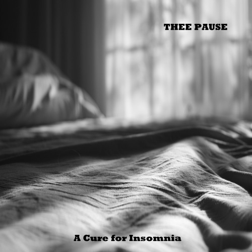 THEE PAUSE - She Had Nightmares, I Have Sleep