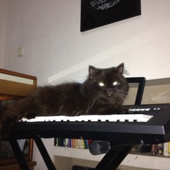 my song "forever with you"