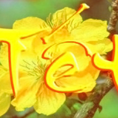 Bai Ca Tet Cho Em - Quang Le [FLAC Lossless]