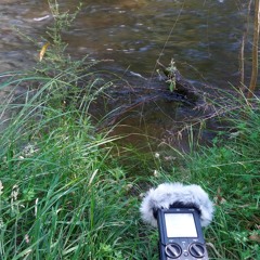 Beside a fast running peaceful creek