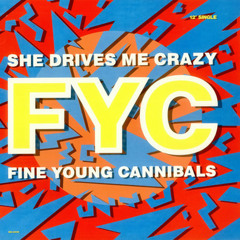 Fine Young Cannibals - She Drives Me Crazy - Driven Crazy Dub - 1989