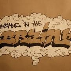 Richard Cheese - InSaNe In ThE BrAiN (Lazarus Soundsystem Remix)
