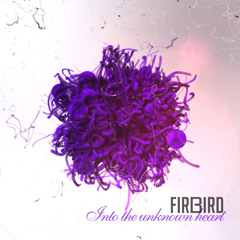 Into the Unknown Heart.mp3