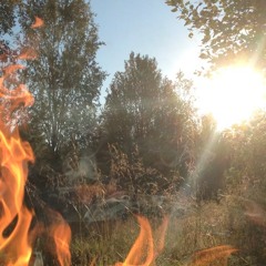 The Silence - Everything