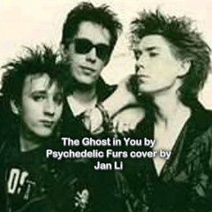 The Ghost in You by Psychedelic Furs (cover)