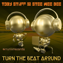 Toby Stuff & Stee Wee Bee – Turn The Beat Around (Kriz Van Dale Remix)