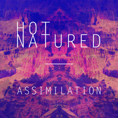 Hot Natured - Assimilation [FREE DOWNLOAD - www.hotnatured.com]