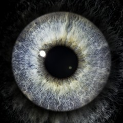 Vibrasphere - Erosion (Blindflug Remix)