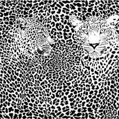 Marti Stone a.k.a. La Signora Fletcher del Rap Italiano - Schizzando Qua e Là