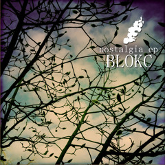 Blokc - In Transit (Van Did Remix) [SC edit]