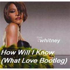Scott Diaz & Whitney Houston= How Will I Know (What Love Bootleg)