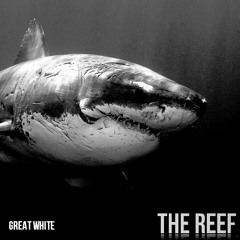 The Reef - Great White (Original Mix) - FREE DOWNLOAD - 1yr anniversary
