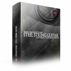 8Dio Steel String Guitar: "Lights of Resonance" by Vivien Chebbah