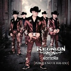 La Reunion Norteña - Porque No Te Has Ido