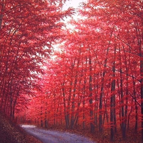 Stream red forest by Listen for free on SoundCloud