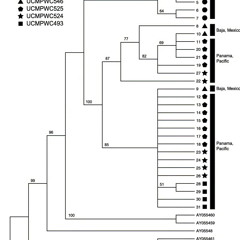 geography & the sequence