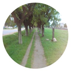 Ezekiel Lopez  Roberto Miranda Pres Absolute Zero   Carrera Blanca PREVIEW