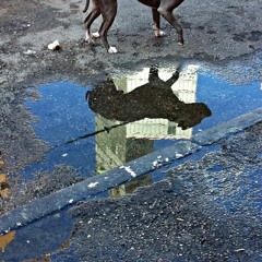 Electlectic NuDisktech