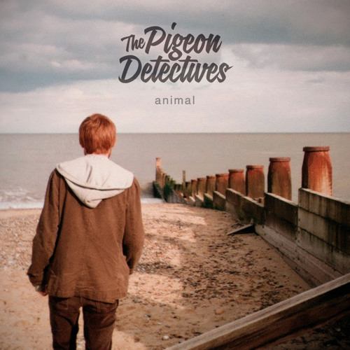 The Pigeon Detectives - Animal