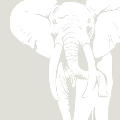 Working in the Field