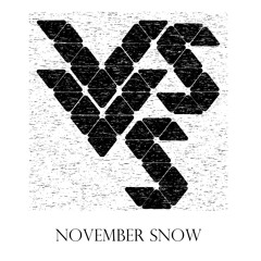 VsVs - November Snow