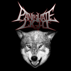 Paniki Hate Light - Change