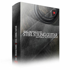 8Dio Steel String Guitar Patch Walkthrough by Troels Folmann