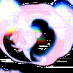 Digimon Jungle Night Ambience