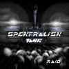 Raid Mp3