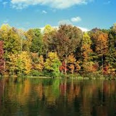 Once Upon A Time (1)