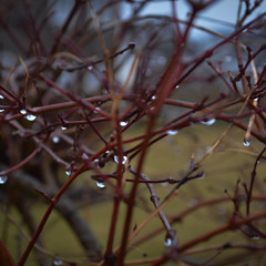 Sunday Morning - Maroon 5 (Cover)