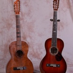 Lyon  & Healy 9 String Parlor Guitar, Steel Guitar Rag