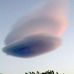 lifted from the curse of gravity (2001)