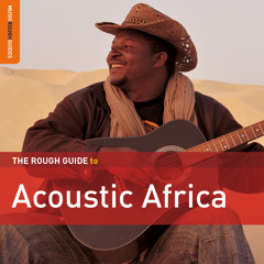 Samba Toure: White Crocodile Blues (taken from The Rough Guide To Acoustic Africa)
